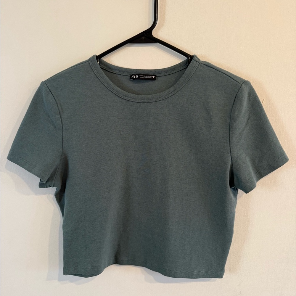 Zara Large Crop Top